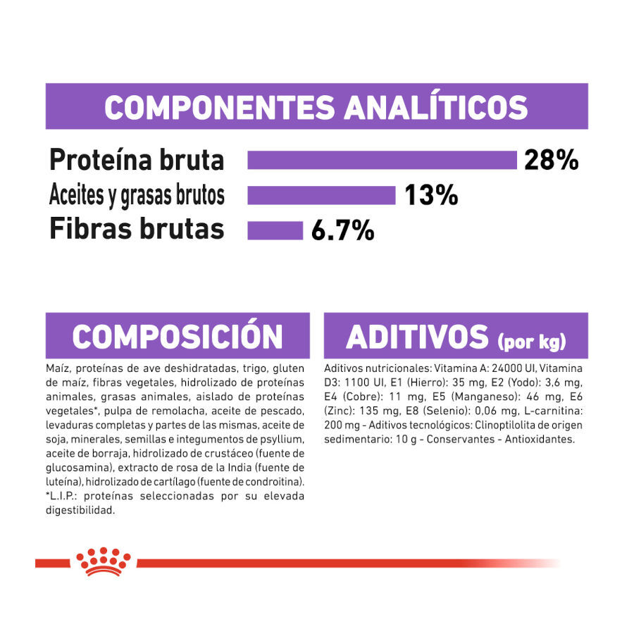 12 kg Royal Canin Maxi Sterilised ra&ccedil;&atilde;o para c&atilde;es, , large Imagem n&uacute;mero 7